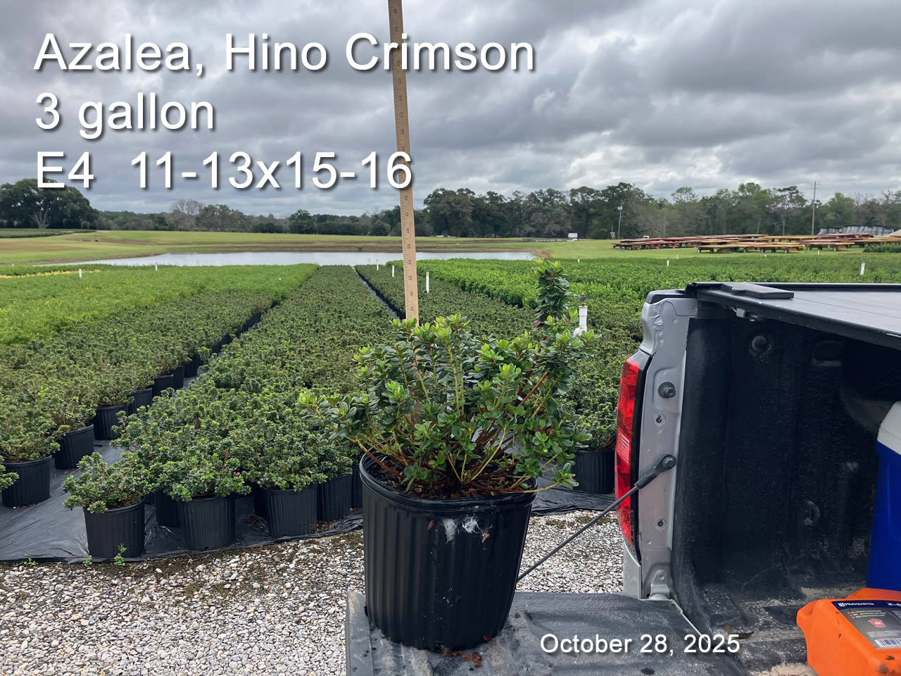 gallery/hc3 e4 oct28.jpg